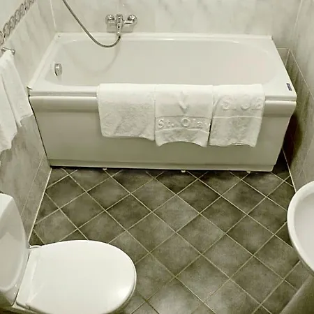 فندق Olevi Residents 3*
