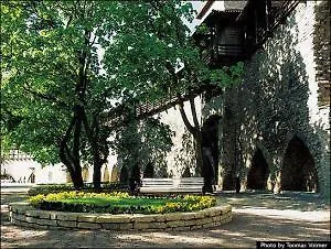 Olevi Residents 3* 탈린